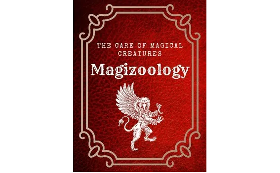 Muggle Mayhem 101